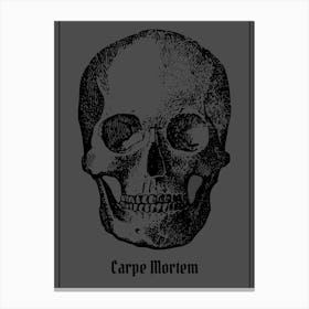 Carpe Mortem Skull Canvas Print