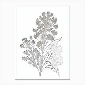 Coriander Herb William Morris Inspired Line Drawing 2 Canvas Print
