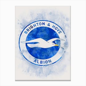 Brighton And Hove Albion Painting Canvas Print