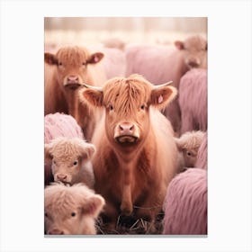 Highland Cow With Calves Pink Photography Canvas Print