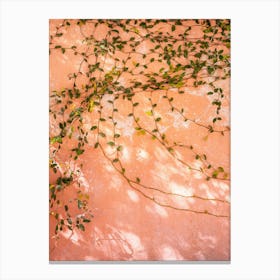 Orange To Pink Canvas Print