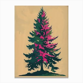Balsam Tree Colourful Illustration 4 Canvas Print