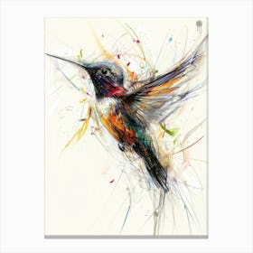 Hummingbird Canvas Print 1 Canvas Print