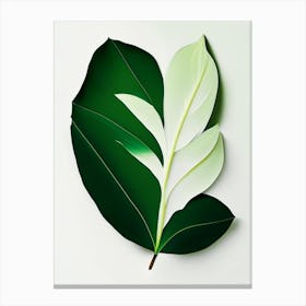 Vanilla Leaf Vibrant Inspired Canvas Print