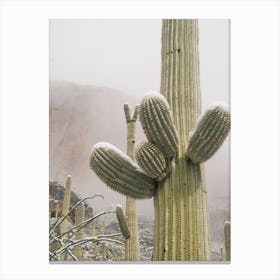 Snowy Desert Saguaro Canvas Print