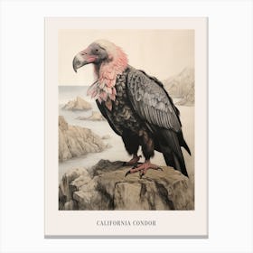 Vintage Bird Drawing California Condor 2 Poster Canvas Print