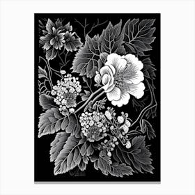Blackberry Blossom Wildflower Linocut 1 Canvas Print