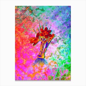 Crocus Luteus Botanical in Acid Neon Pink Green and Blue Canvas Print