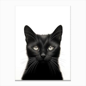 Black Cat Portrait Canvas Print