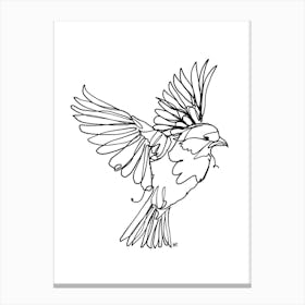 If You Are A Bird Canvas Line Art Print
