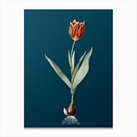 Vintage Tulip Botanical Art on Teal Blue n.0391 Canvas Print