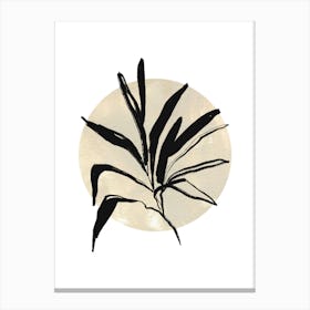 Plant In A Circle Canvas Print