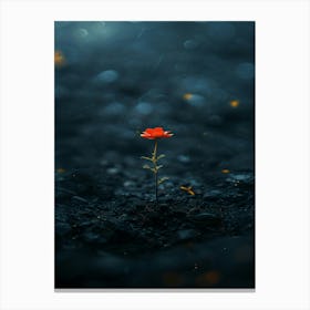 Single Flower In The Dark 112 Canvas Print