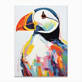 Colourful Bird Painting Puffin 2 Canvas Print