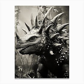 Black And White Photograph Of A Stegosaurus Canvas Print