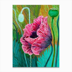 Pink Poppy In Bloom Canvas Print