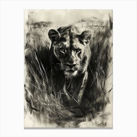 African Lion Charcoal Drawing Hunting 3 Canvas Print