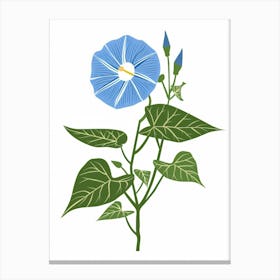 Morning Glory 4 Canvas Print