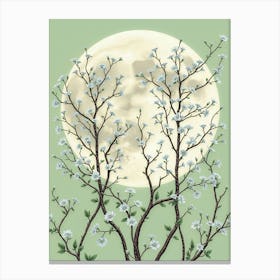 Moonlight Over Blossoms Canvas Print