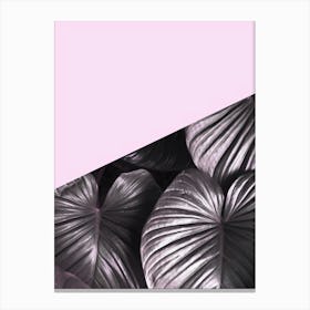 Floral collage 2 Canvas Print