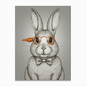 Rabbit With Glasses Canvas Print