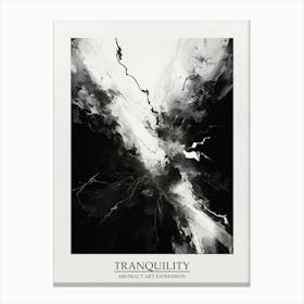 Tranquility Abstract Black And White 1 Poster Canvas Print