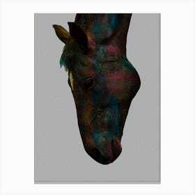 Graceful Equine Sip Colorful Horse Head Design Stampe su tela