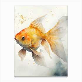 Goldfish Painting Canvas Print