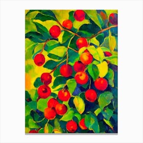 Barbados Cherry Fruit Vibrant Matisse Inspired Painting Fruit Canvas Print
