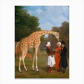 Vintage Giraffes And People Canvas Print