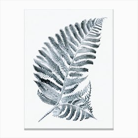 Silver Lace Fern Watercolour Canvas Print