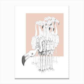 Flamingo Boys Weird And Wonderful Canvas Print