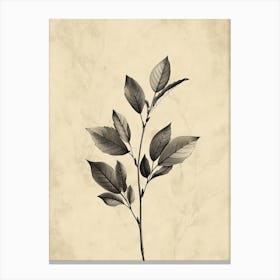 Copenhagen Flower Market Boho Minimalist Style Canvas Print