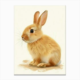 Netherland Dwarf Rabbit Nursery Illustration 4 Canvas Print
