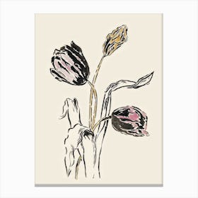 Tulip Flower Canvas Print