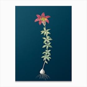 Vintage Wood Lily Botanical Art on Teal Blue n.0898 Canvas Print