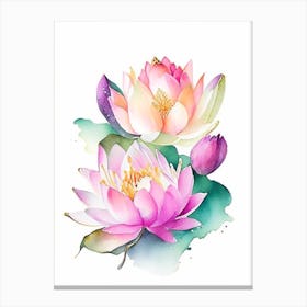 Lotus Flower Bouquet Watercolour 4 Canvas Print
