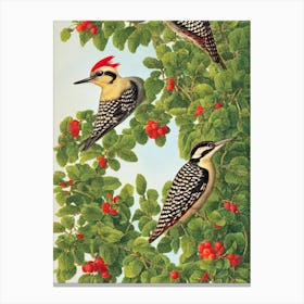 Woodpecker 2 Haeckel Style Vintage Illustration Bird Canvas Print