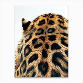 Leopard Head 2 Canvas Print