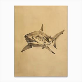 Largetooth Cookiecutter Shark Vintage Illustration 5 Canvas Print