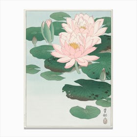 Water Lily (1920 1930), Ohara Koson Canvas Print