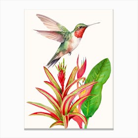 Hummingbird And Plant Canvas Print