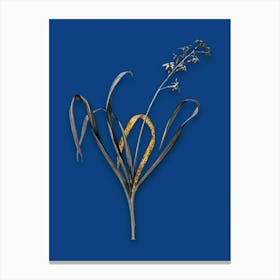Vintage Dutch Hyacinth Black and White Gold Leaf Floral Art on Midnight Blue n.0399 Canvas Print