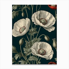 Poppies 6 Canvas Print