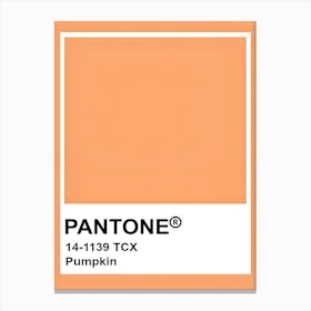 Pantone Color Pumpkin Canvas Print