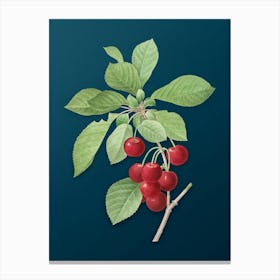 Vintage Cherry Botanical Art on Teal Blue n.0004 Canvas Print