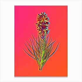 Neon Yellow Asphodel Botanical in Hot Pink and Electric Blue n.0276 Canvas Print
