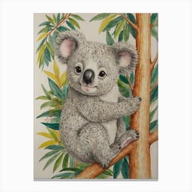 Koala 22 Canvas Print