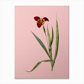Vintage Tiger Flower Botanical on Soft Pink n.0725 Canvas Print