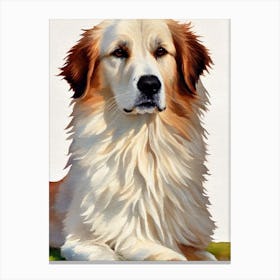Great Pyrenees 2 Watercolour dog Canvas Print